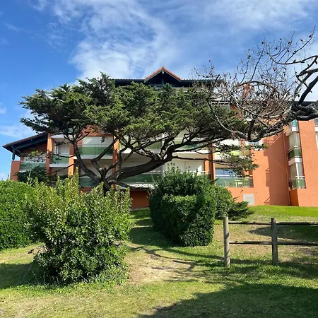Cocon Vue Ocean Apartment